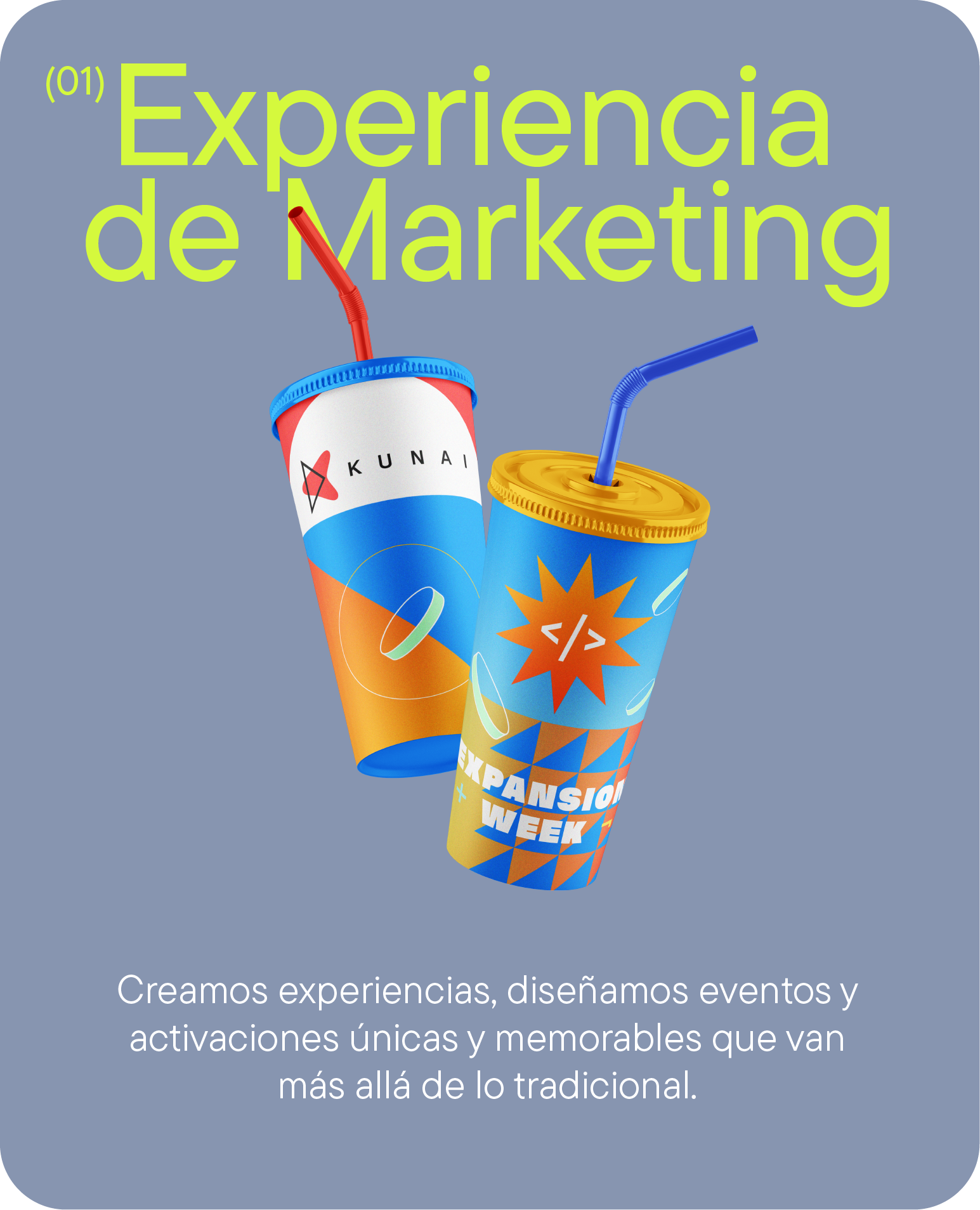 Single Project Image